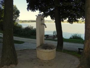 Zdravilni park Sveta Trojica 8